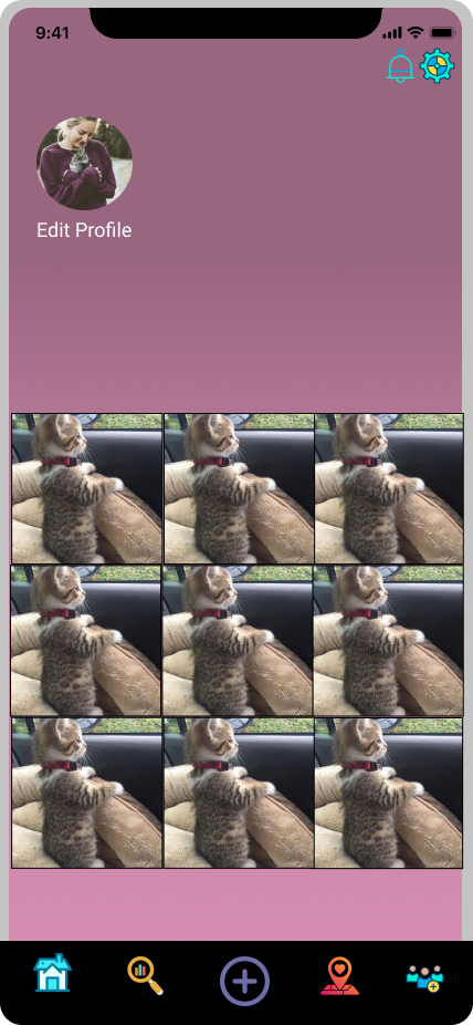 Pets Photo Screen